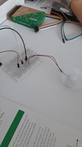 DOVU BU 2