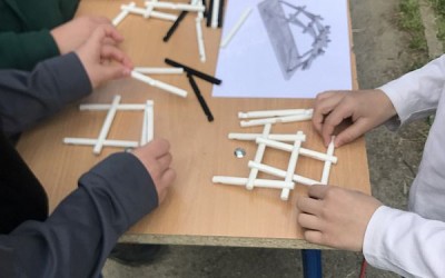 stem cankar 5
