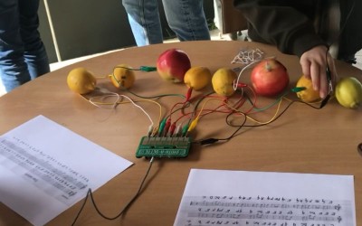 stem cankar 7