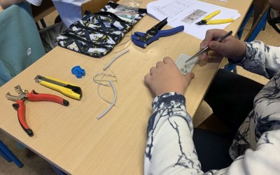 stem 01