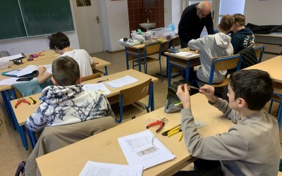 stem 02